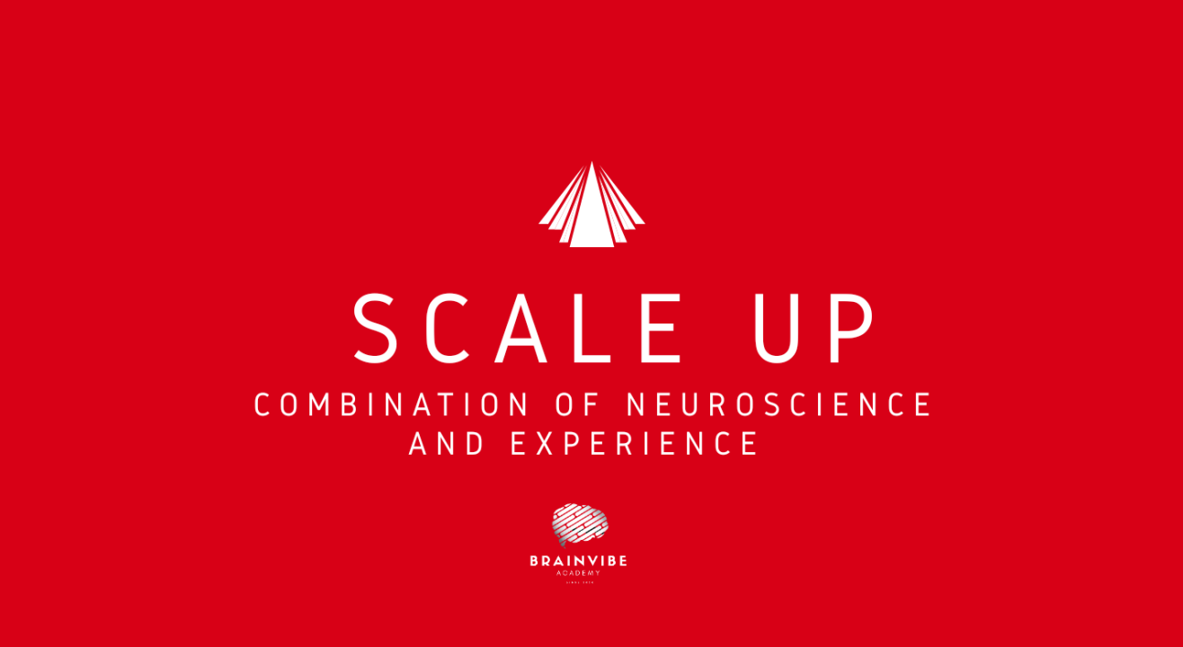 SCALE UP WORKSHOP