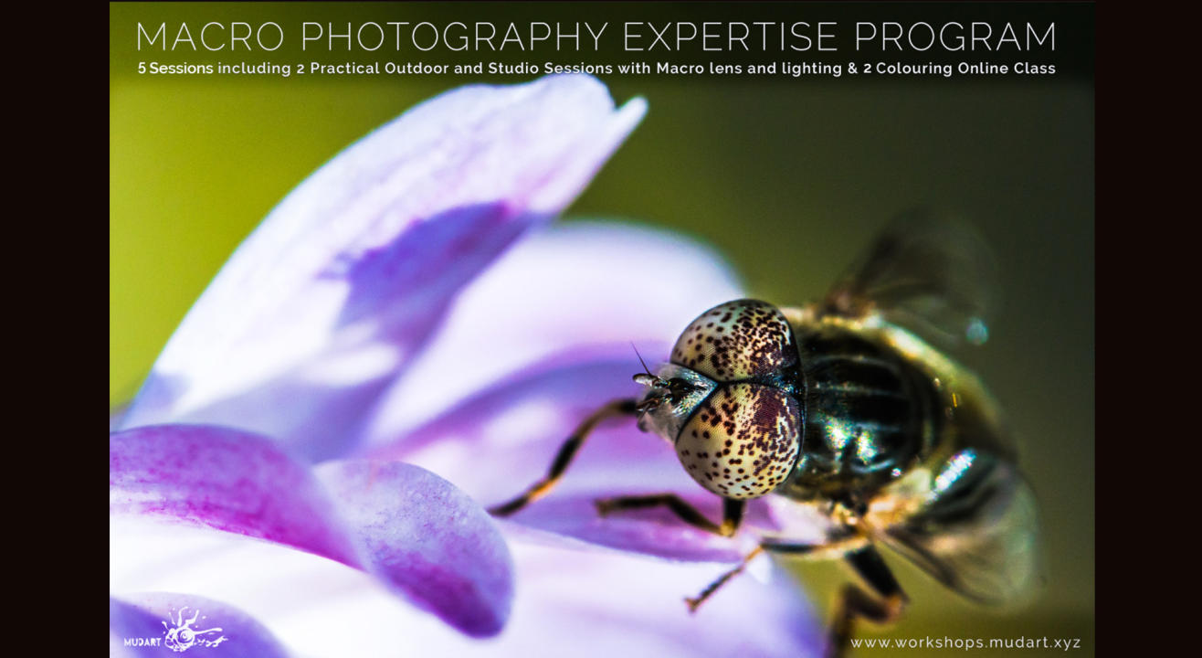 Macro Expertise Program - From shooting to colouring