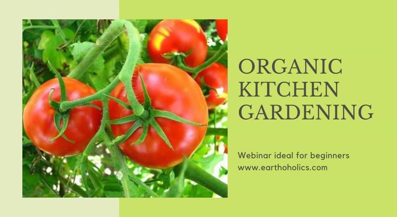 Online: Organic kitchen gardening workshop