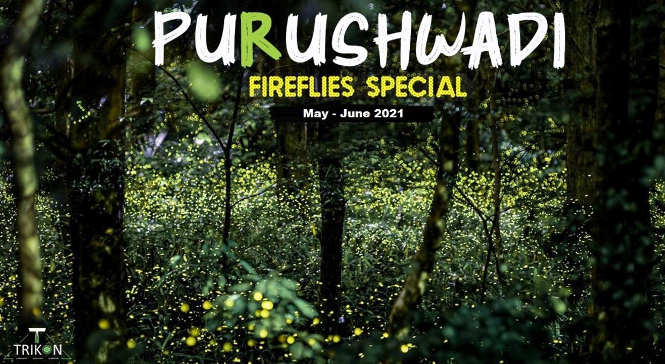 Purushwadi Fireflies 2021