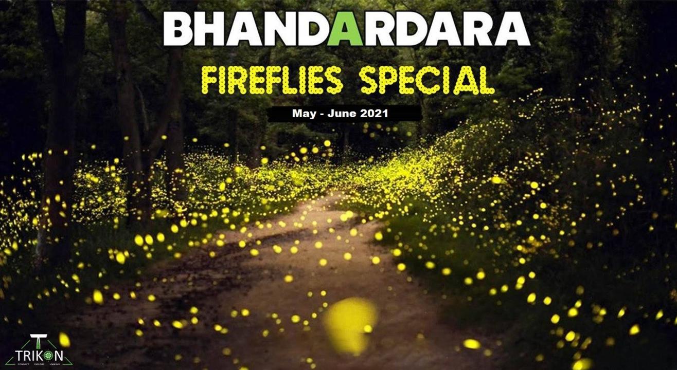 Bhandardara Fireflies Camping 2021 | T Trikon