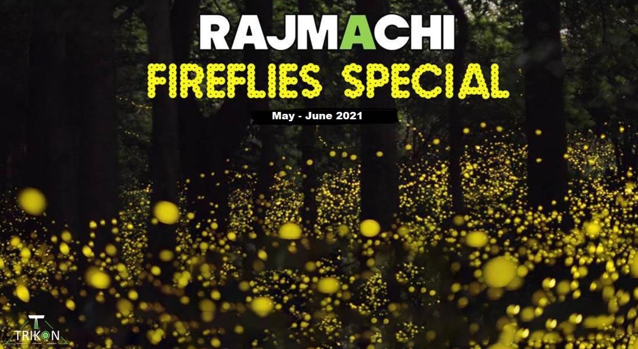 Rajmachi Fireflies Special Trek and Camp 2021 | T Trikon