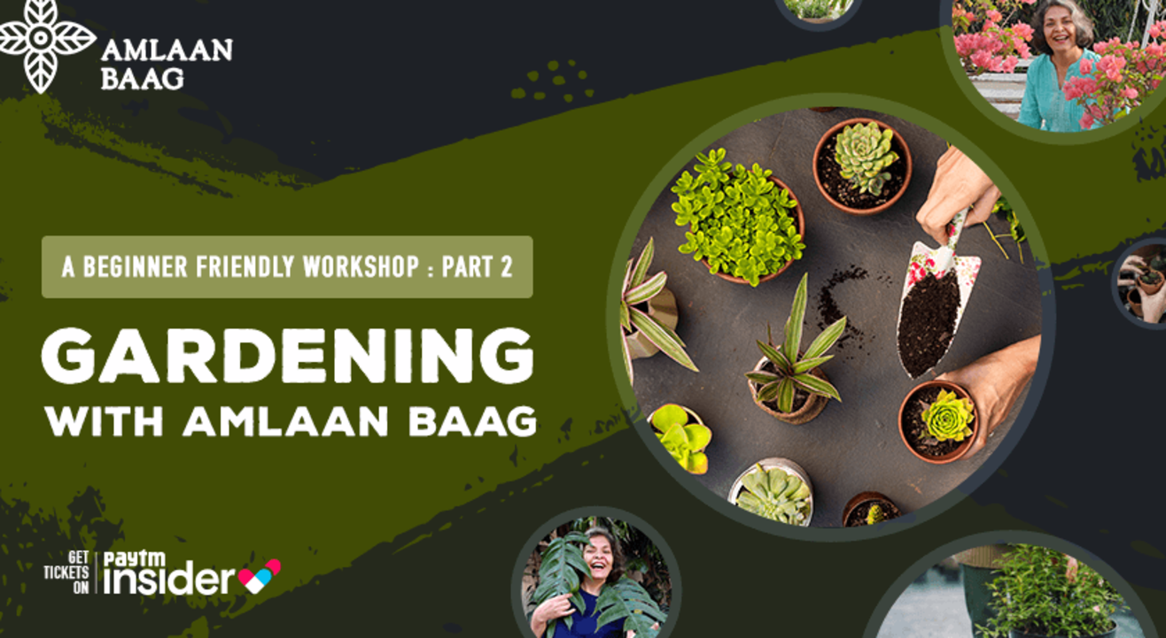 Gardening with Amlaan Baag - A Beginner Friendly Workshop Part 2