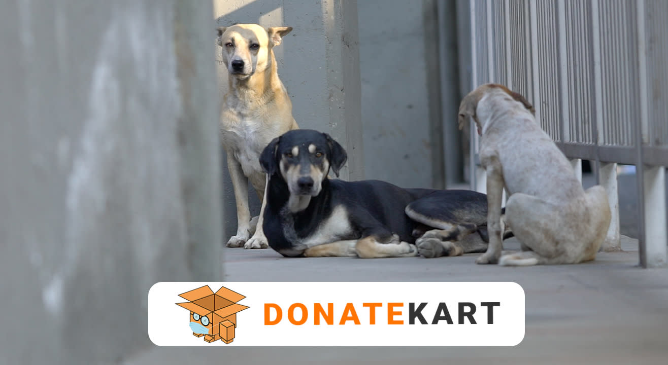 Donatekart | Help Feed the Stray Animals