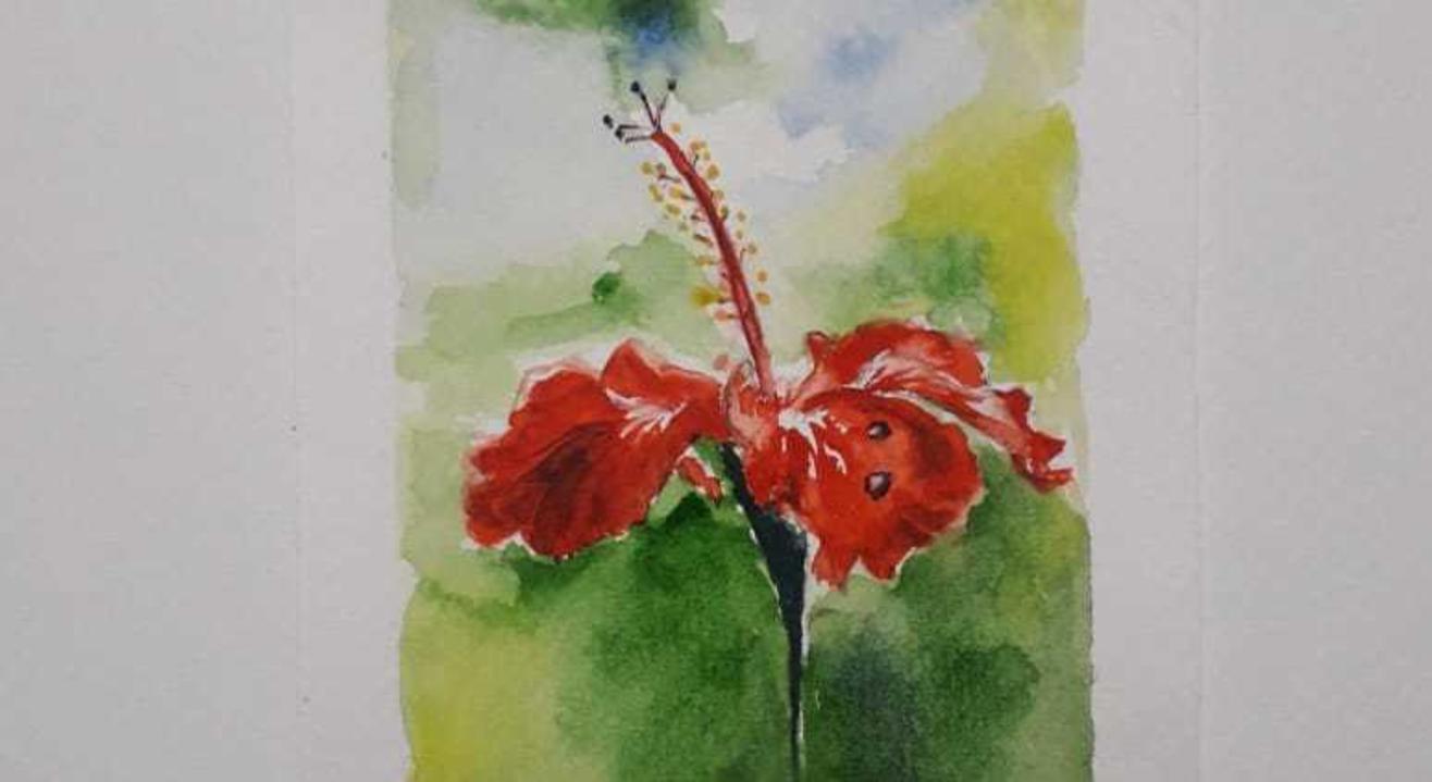 Watercolour for Beginners by Chittal