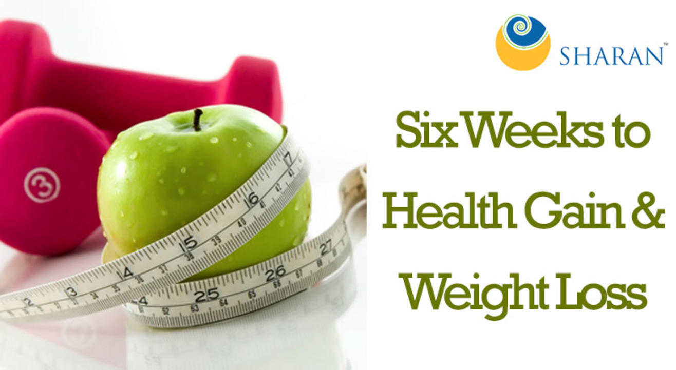 Six Weeks to Health Gain & Weight Loss (Live + Online)