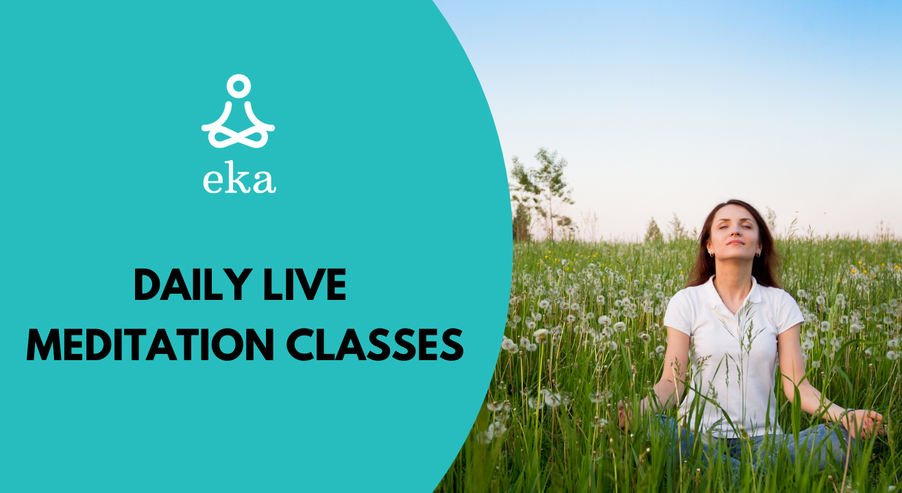 Daily live Meditation classes for beginners - 20 min (morning/evening slots)