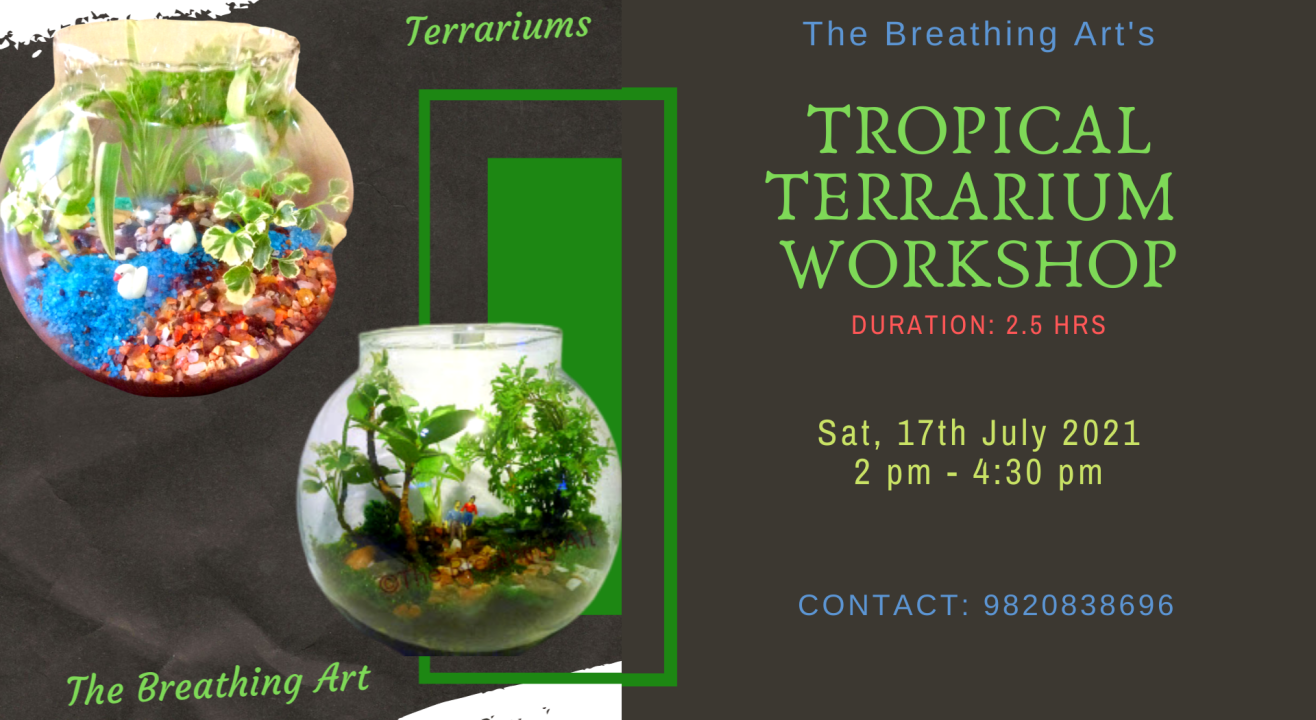 17th July Online Tropical Terrarium Workshop