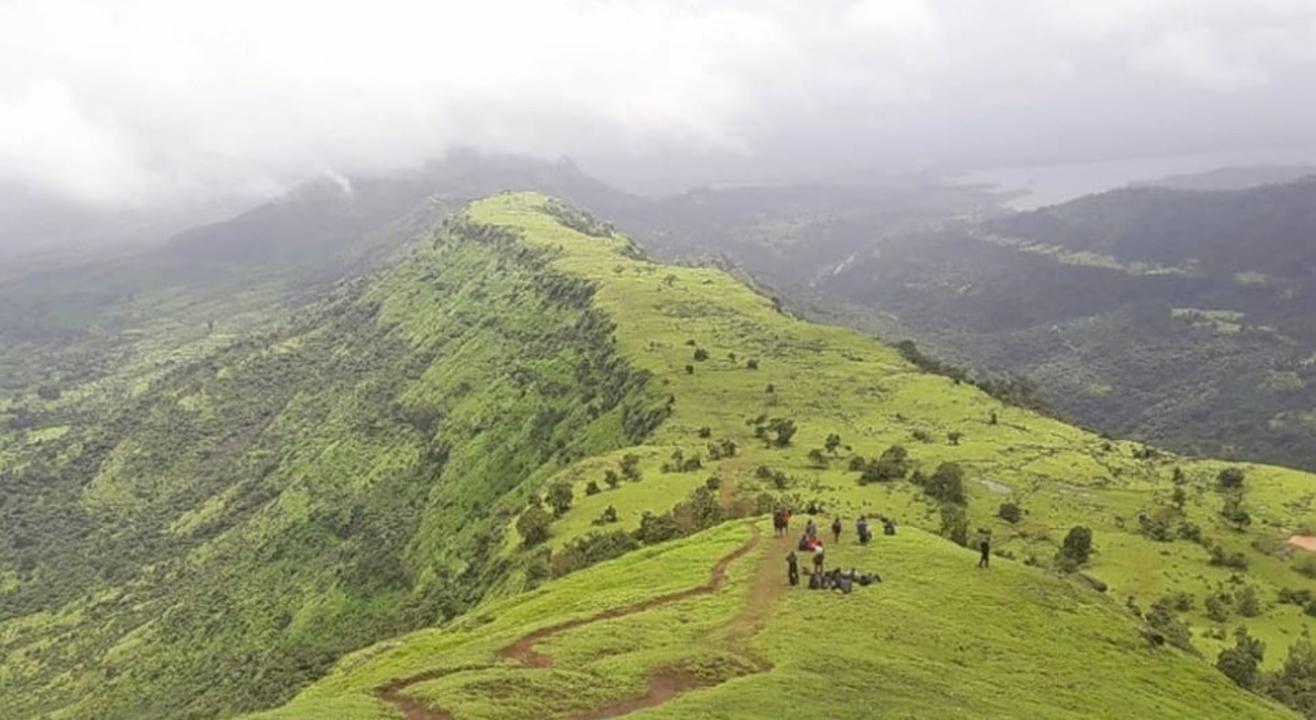 One Day Trek to Garbett Plateau