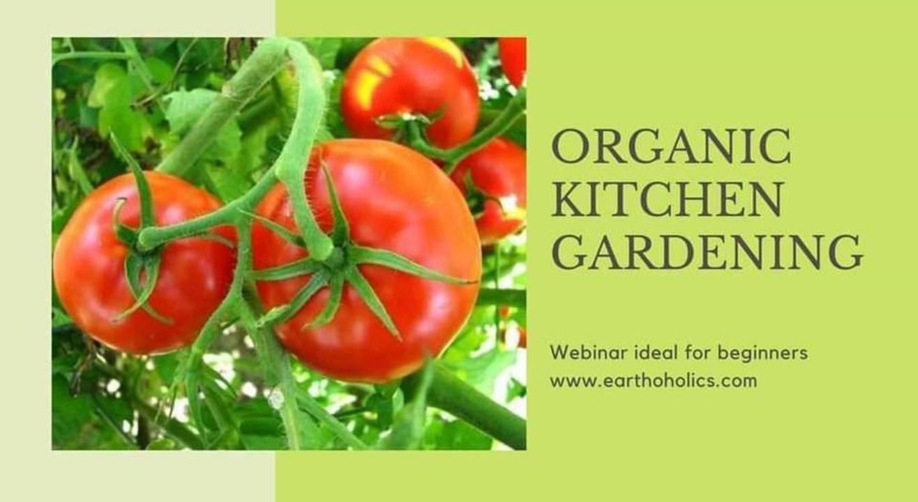 Online: Organic kitchen gardening workshop