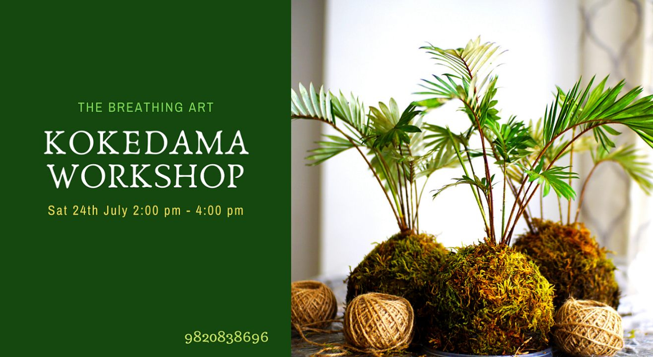 24th July Japanese Kokedama Workshop