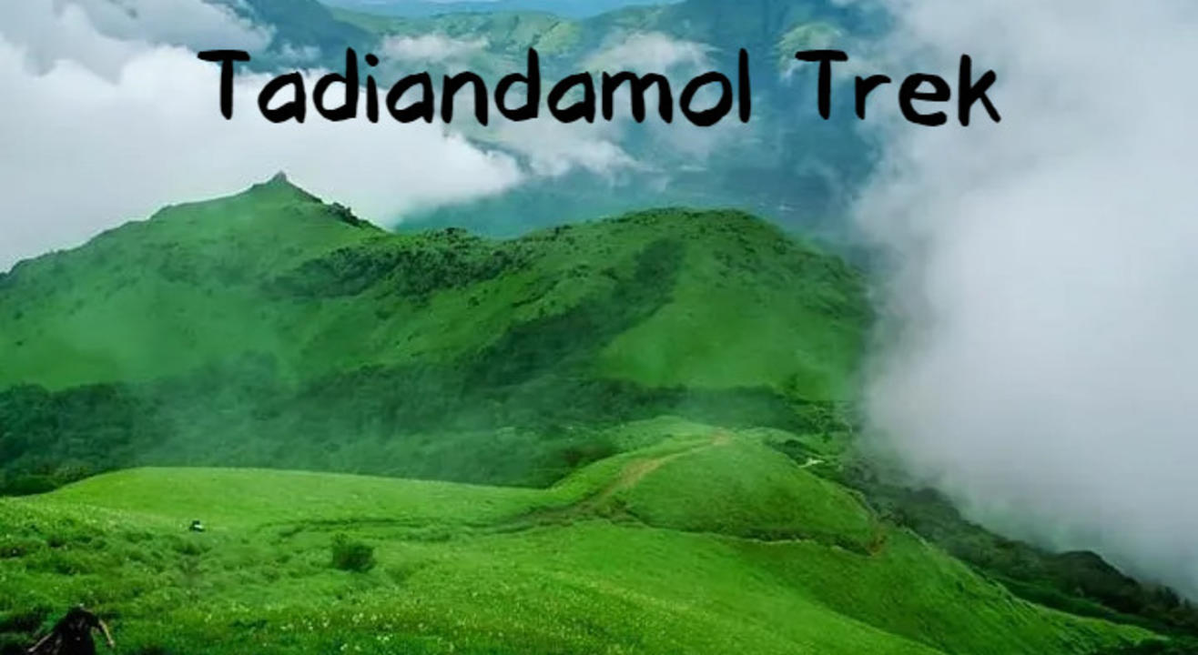 Tadiandamol Trek Coorg | My Hikes