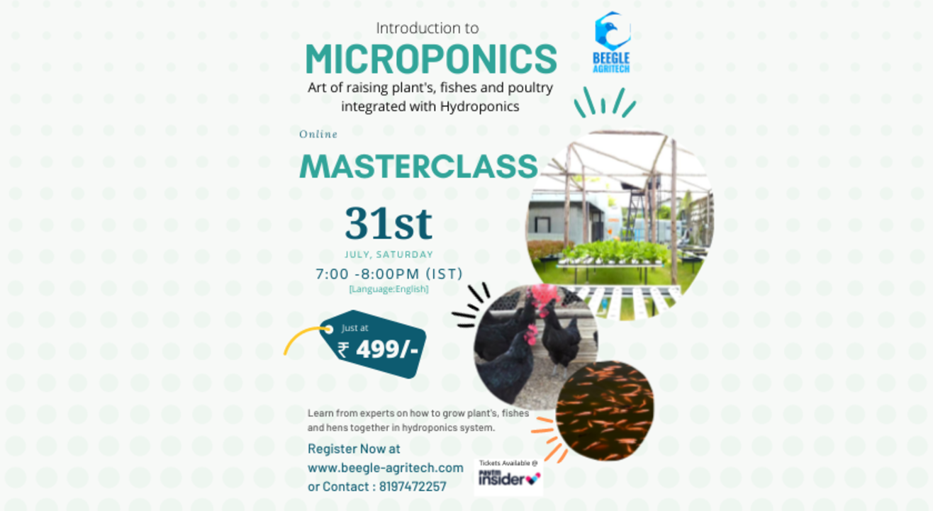 Introduction to microponics