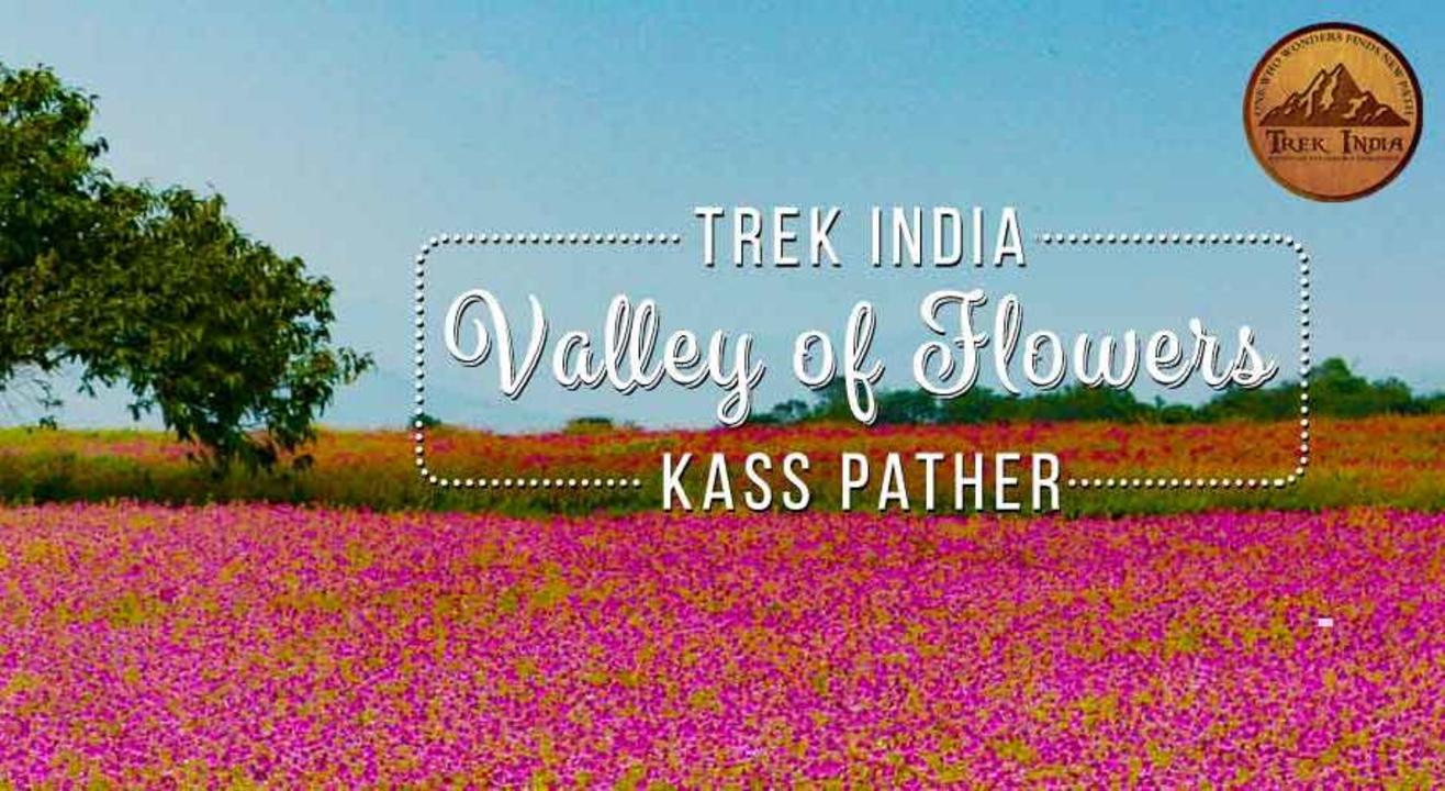 KASS PLATEAU (VALLEY OF FLOWERS)- Trek India