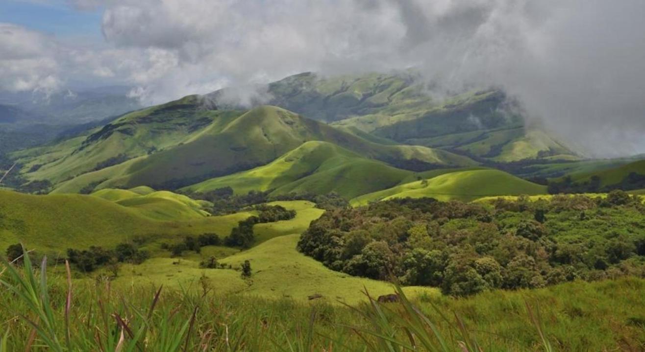 Kudremukh Trek | Trekkers' Paradise| NammaTrip