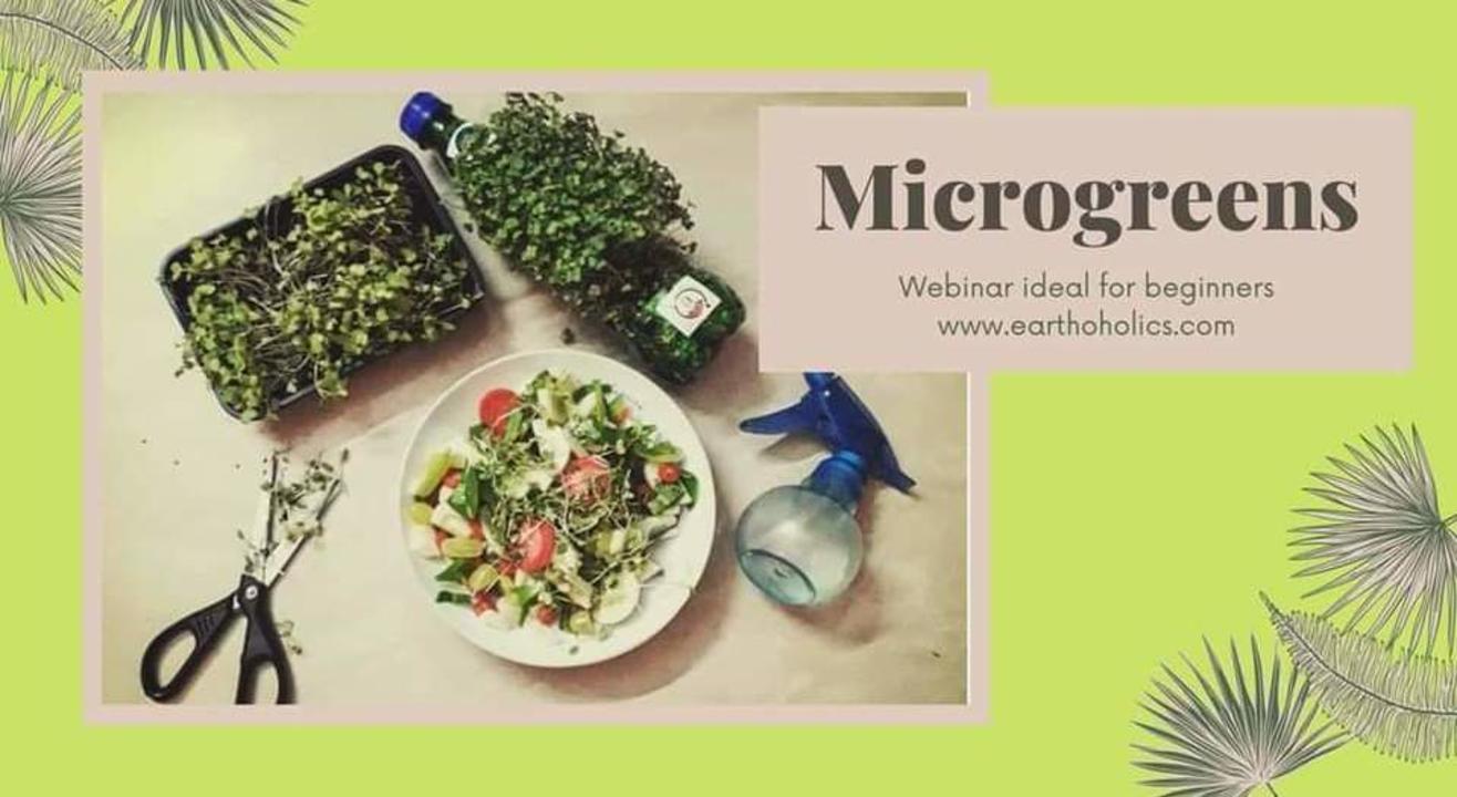 Online:Microgreen Growing Workshop