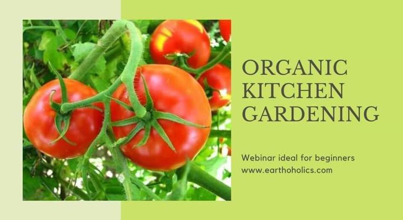 Online: Organic Kitchen Gardeing Workshop