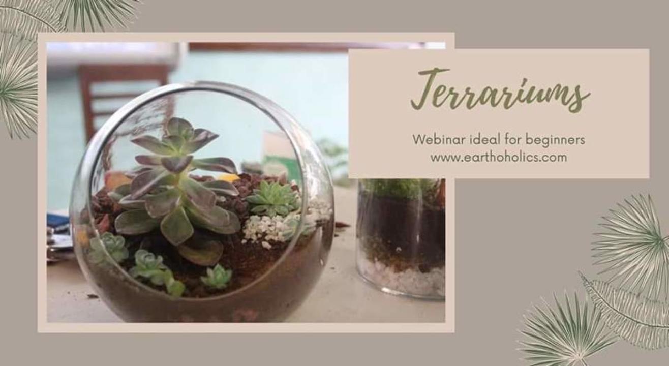 Online: Terrarium Marking Workshop