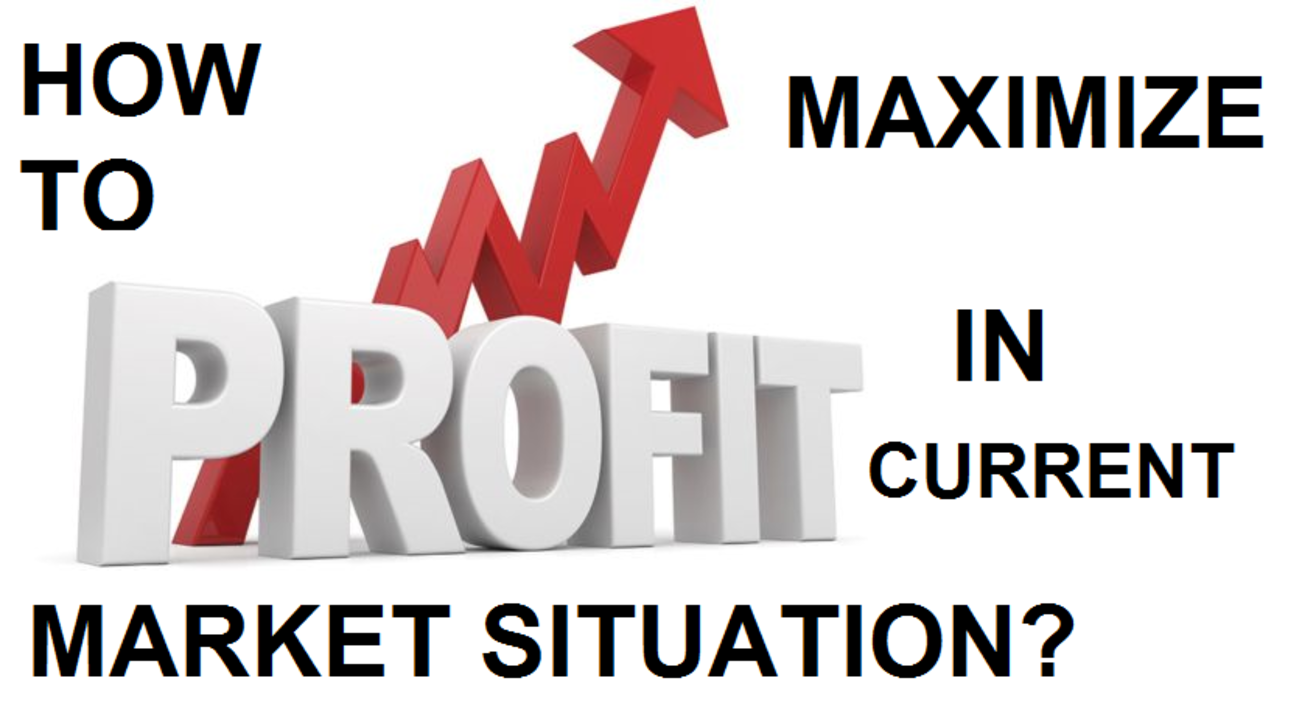 How To Maximize Your Profit In Current Market Situation?