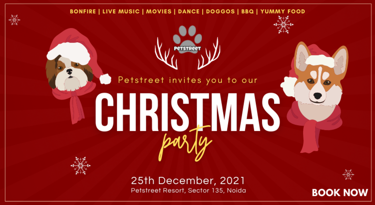 The Ultimate Christmas Party - Pet friendly - Noida | NYE 2022