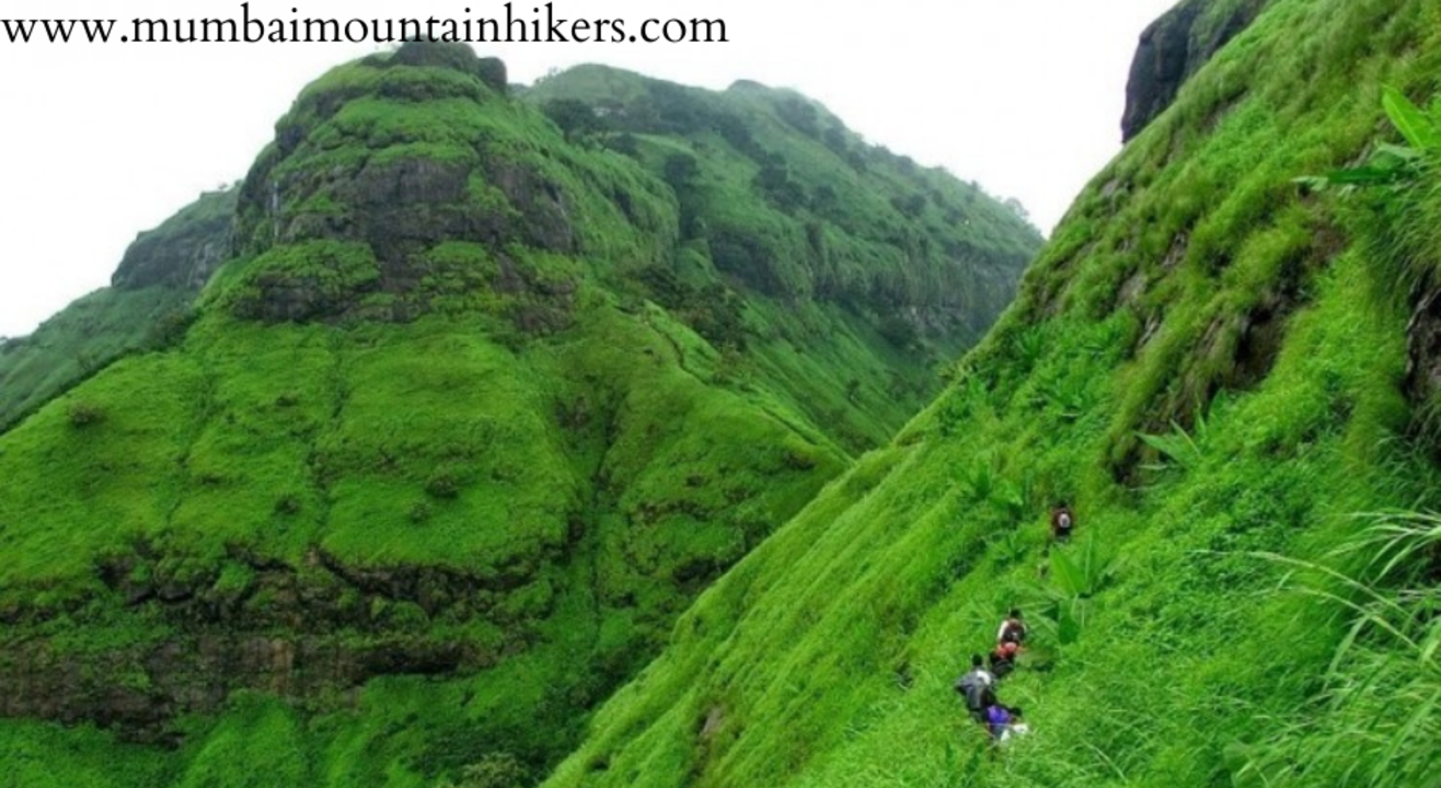 Night Trek To Peb (Vikatgad) Fort | Mumbai Mountain Hikers