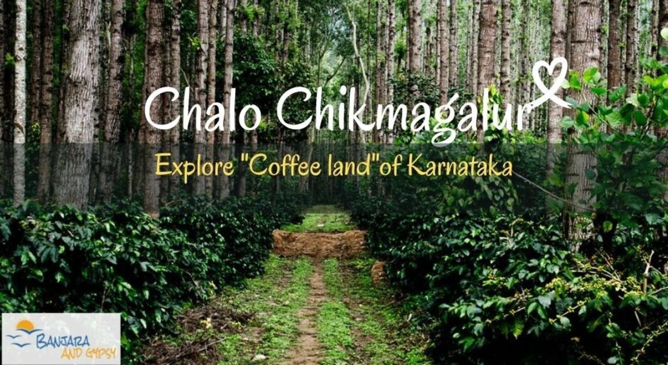 Chikmagalur Diaries - Mountains Are Calling