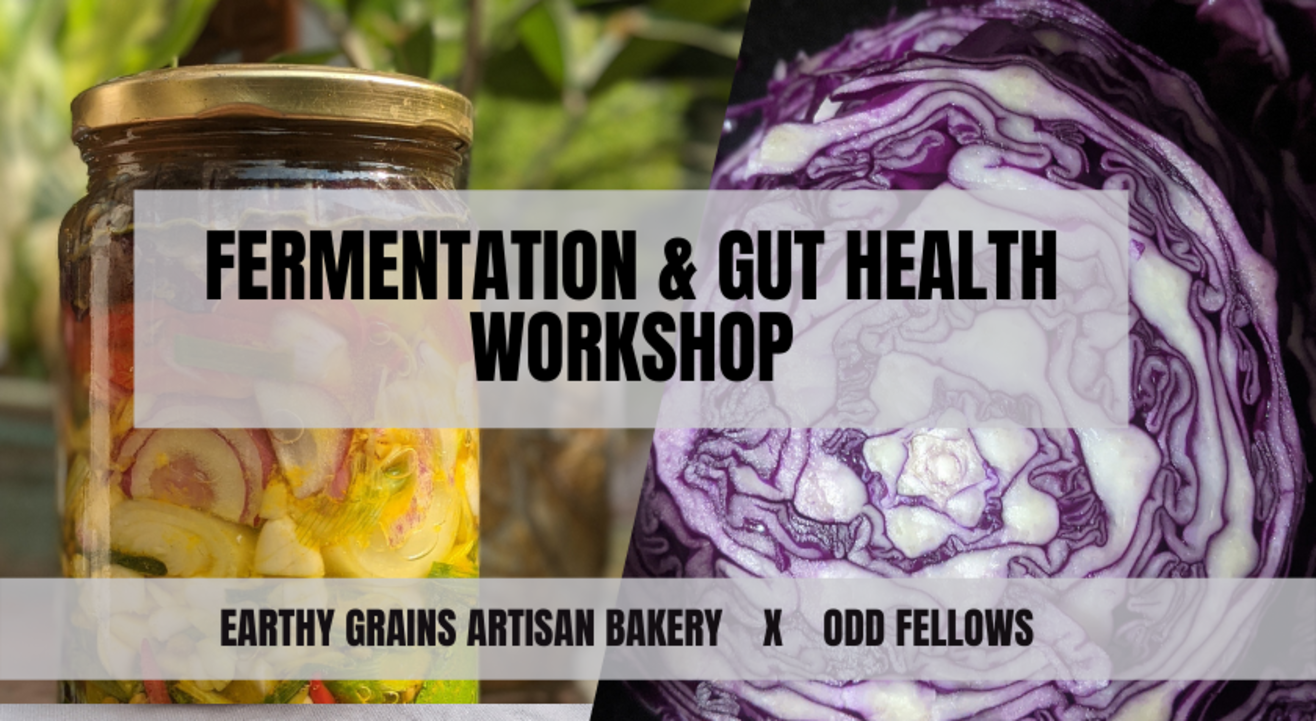 Fermentation & Gut Health Workshop