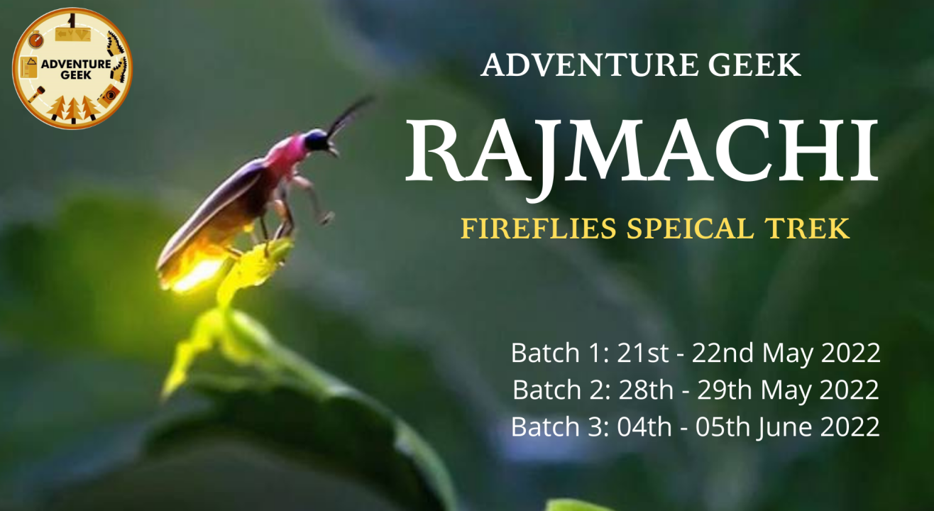 Rajmachi Fireflies Trek 2022 | Fireflies Trek from Mumbai & Pune