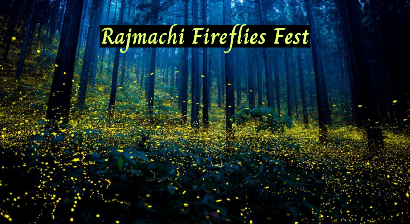 Rajmachi Fireflies Night Trek | LiveB4YouDie