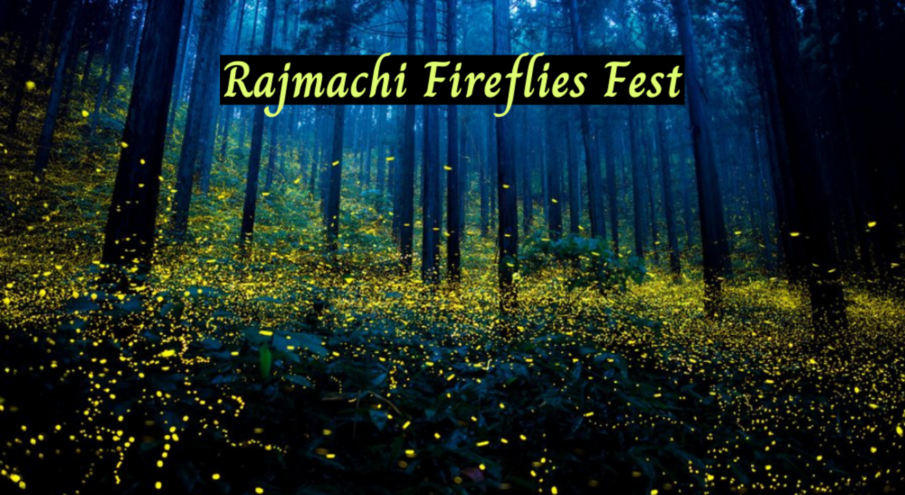 Rajmachi Fireflies Night Trek | LiveB4YouDie 