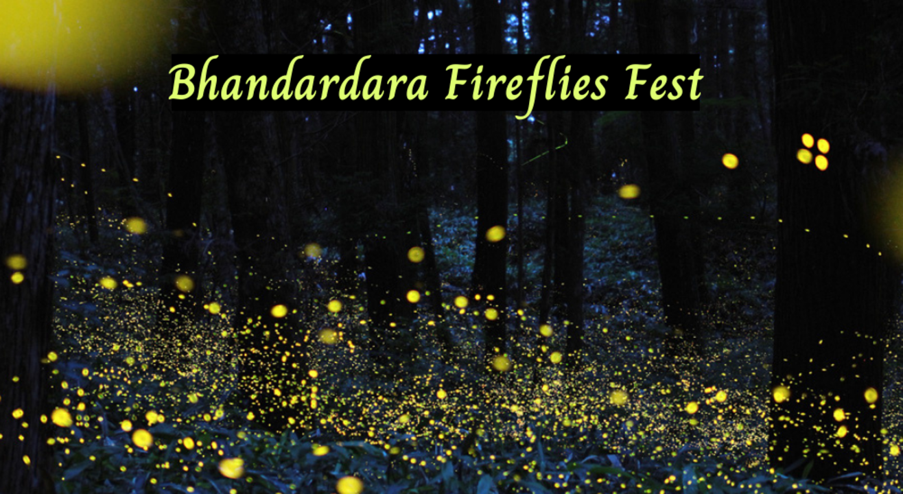 Bhandardara Firefiles Camping | LiveB4YouDie