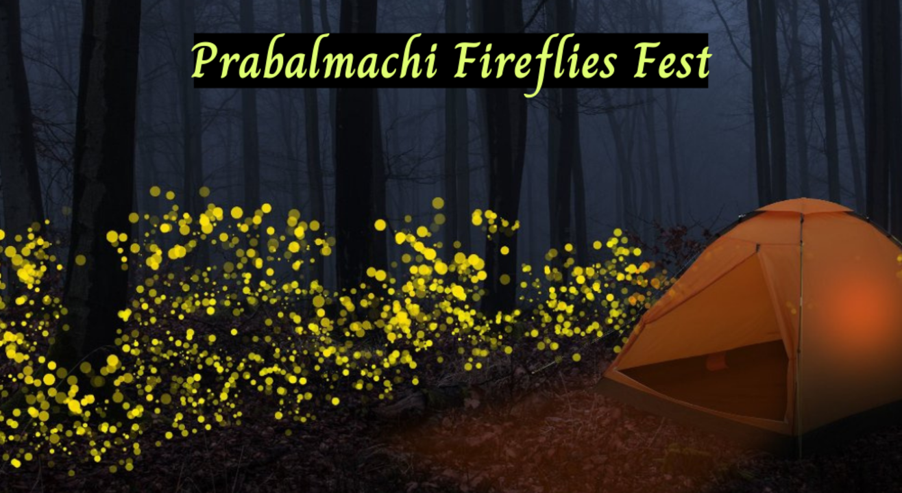 Prabalmachi Fireflies Camping and Trekking | Liveb4youdie