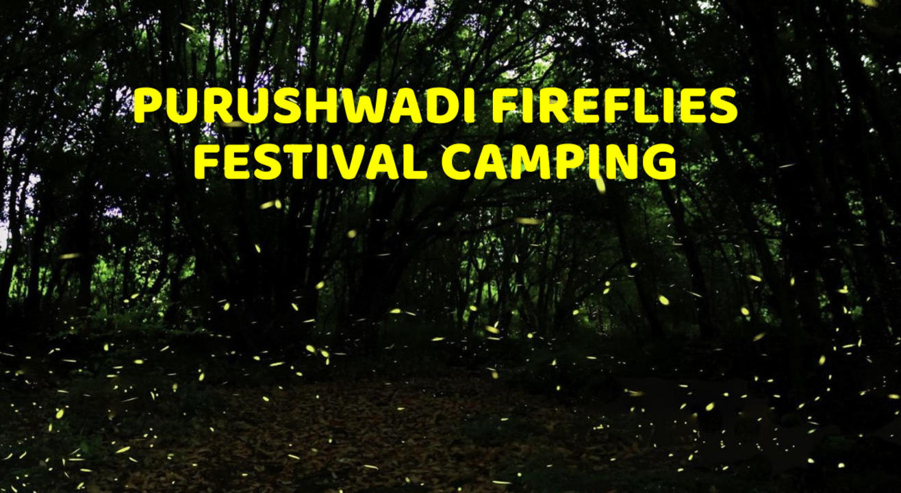 Purushwadi Fireflies Festival - Treks and Trails