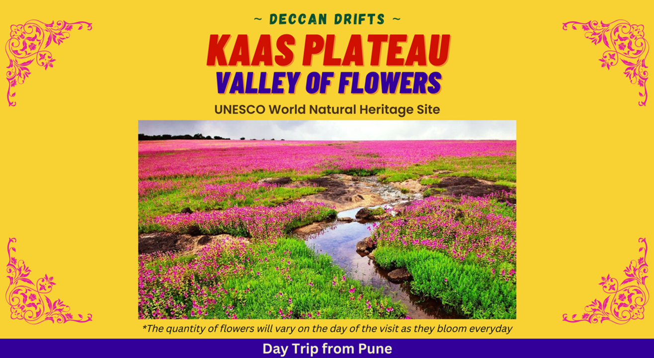 Kaas Plateau of Flowers - Day Trip from Pune