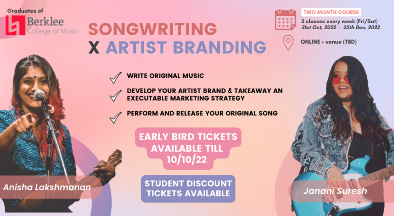 The Professional Musician - Songwriting & Artist Branding