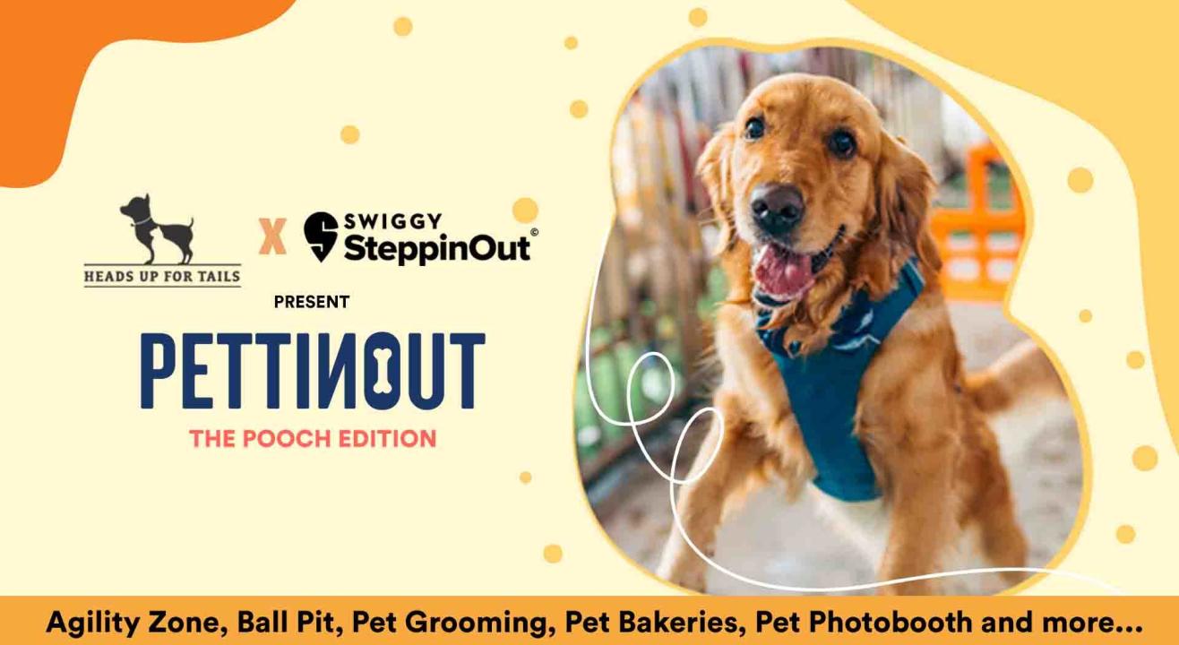 SteppinOut X HUFT Present PettinOut I Ahmedabad