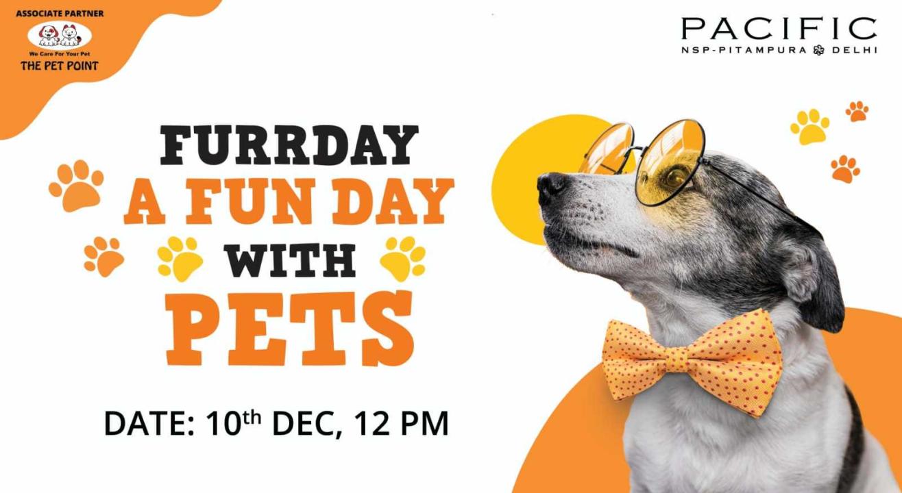 FURRDAY- A Funday with Pets