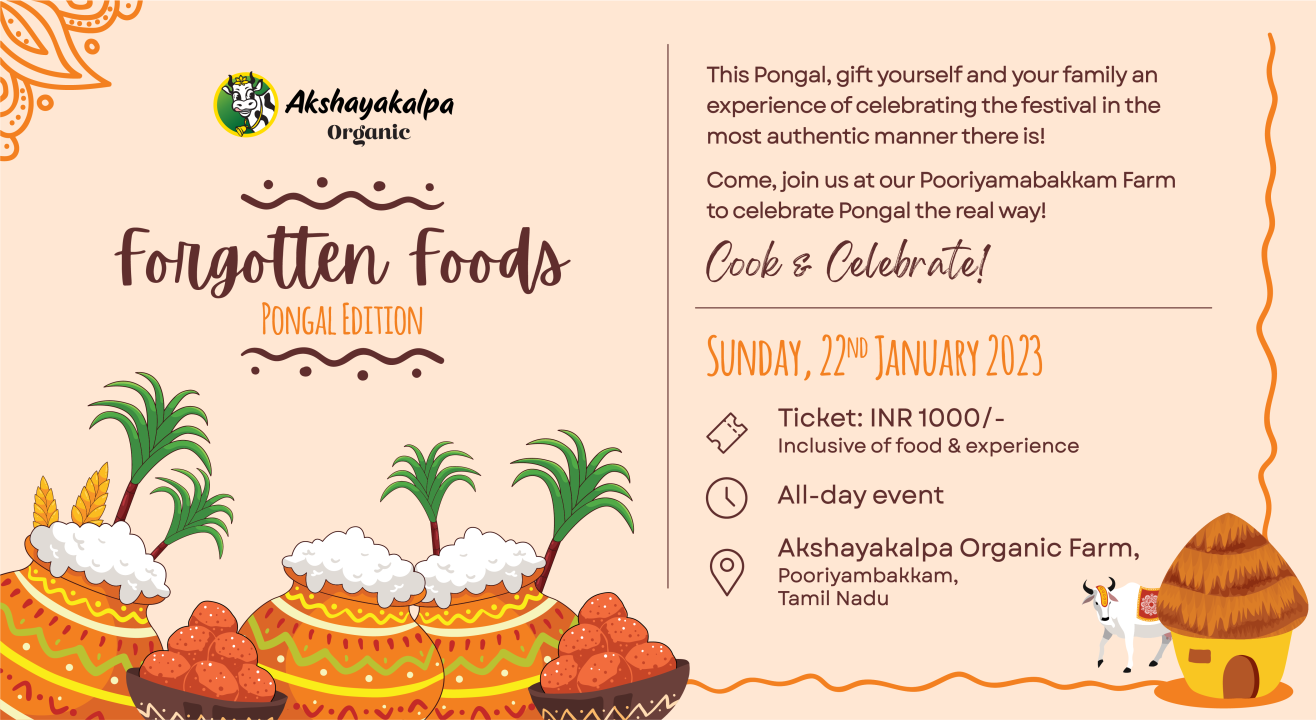 Forgotten Foods - Pongal Edition