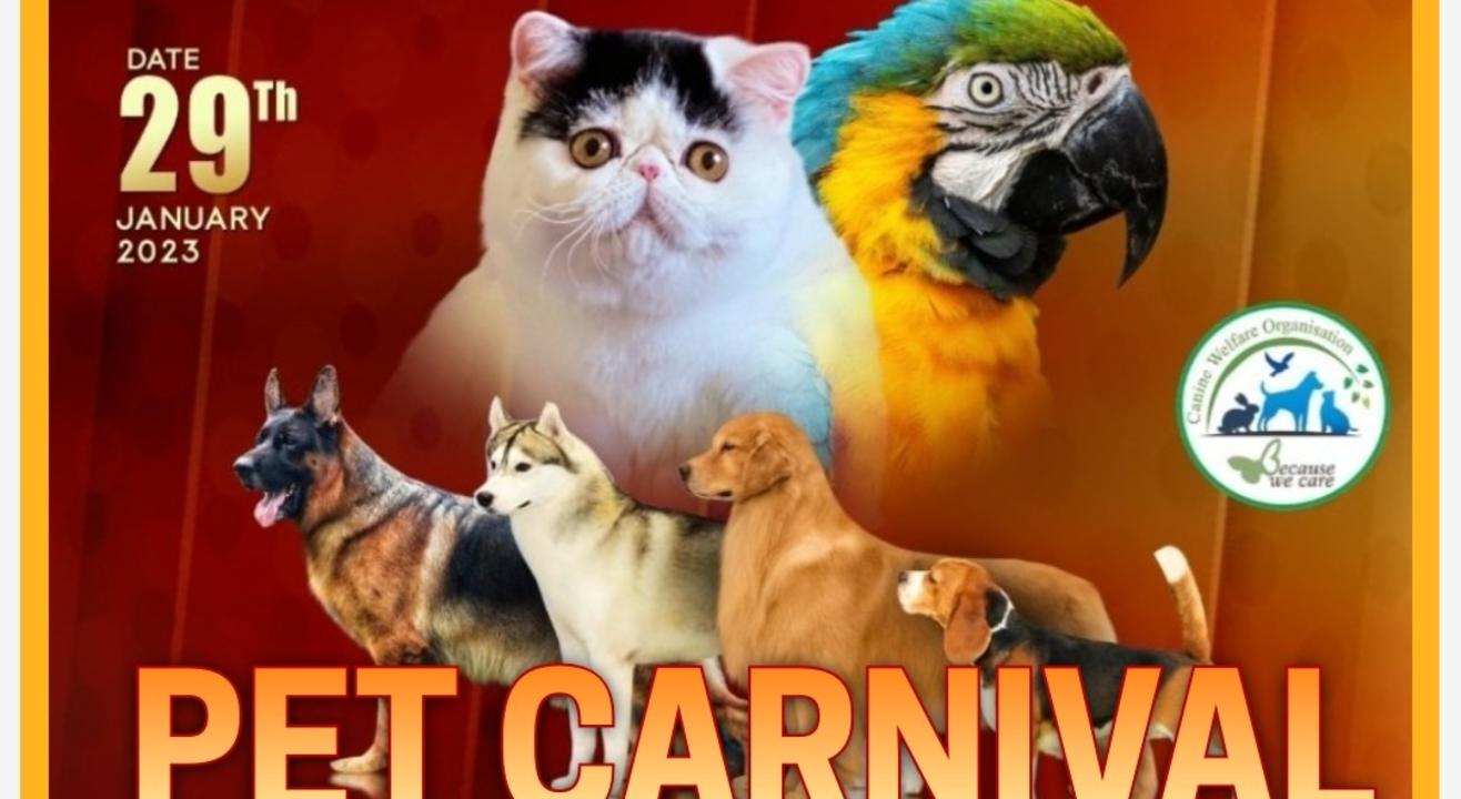 PET CARNIVAL