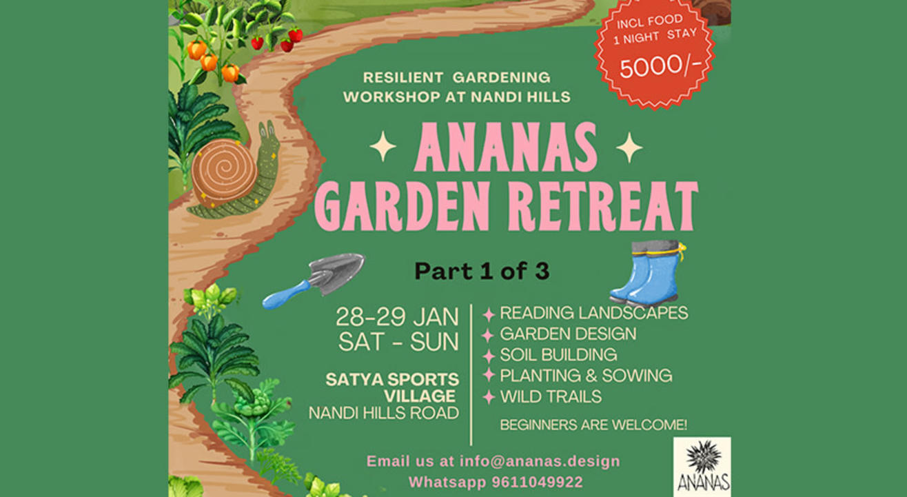 Kitchen Gardening for Beginners - Ananas Retreat