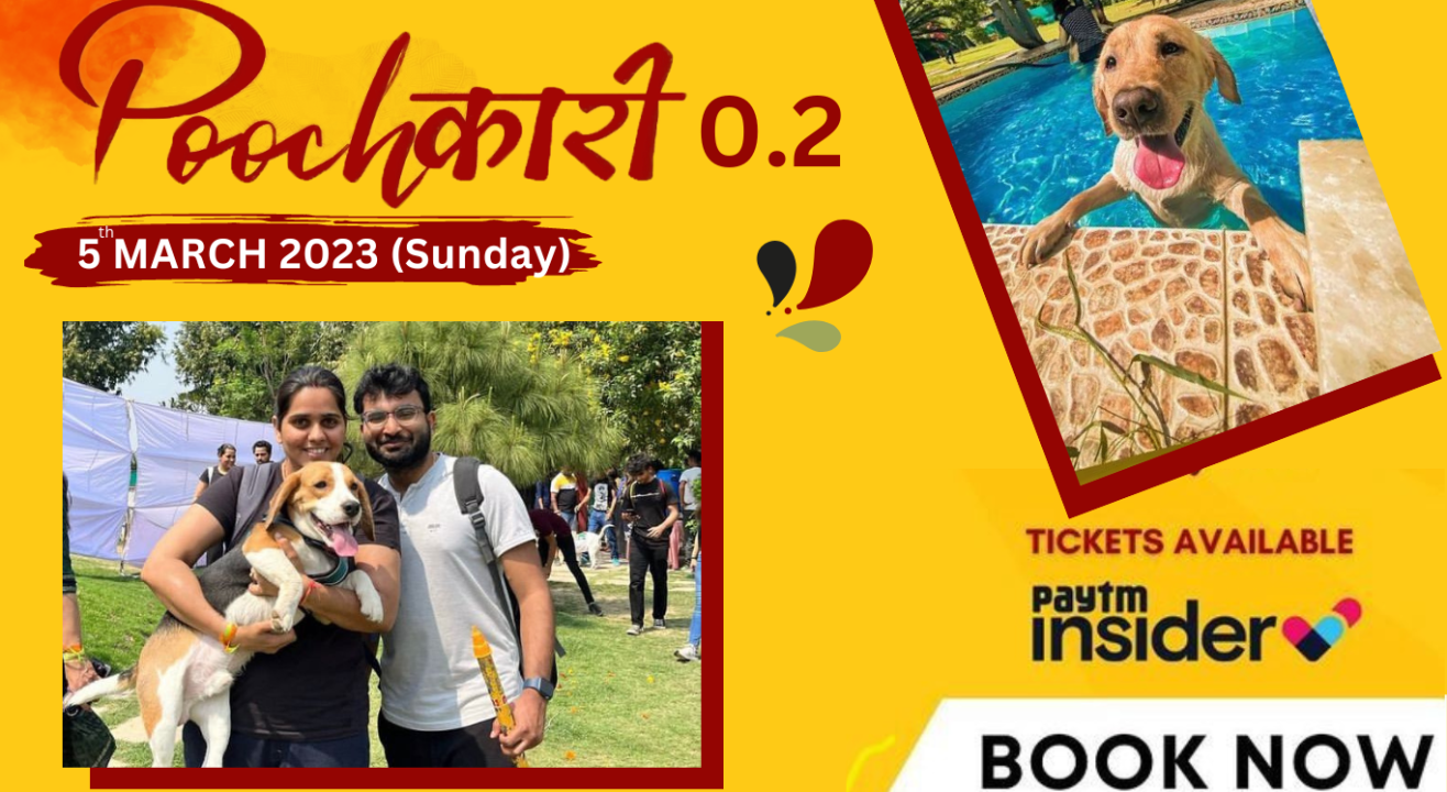 Poochkari0.2 - Holi Pawri For Dogs & Humans | Holi 2023