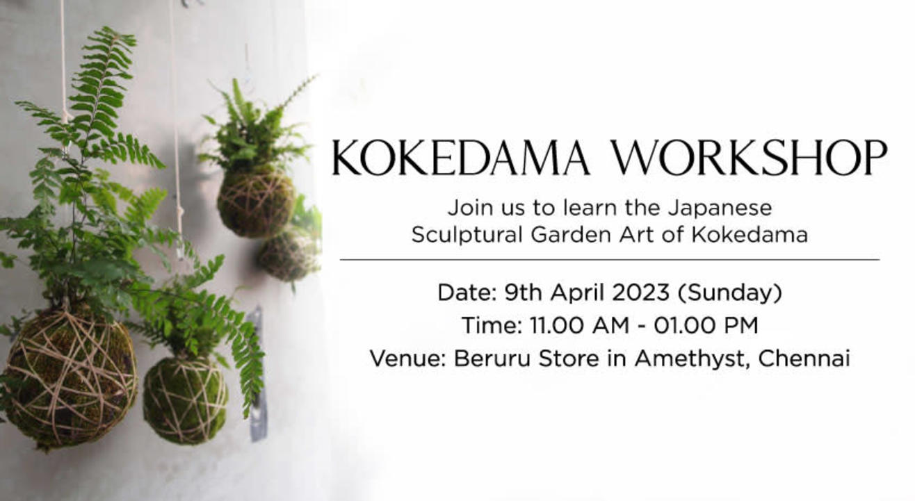 Learn the Japanese Art of Kokedama - Step By Step Tutorial