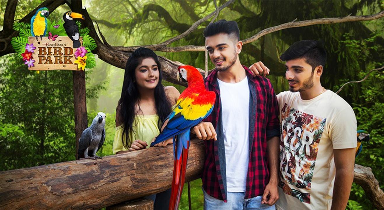 Essel World Bird Park Tickets, Mumbai Witness 400 Birds!