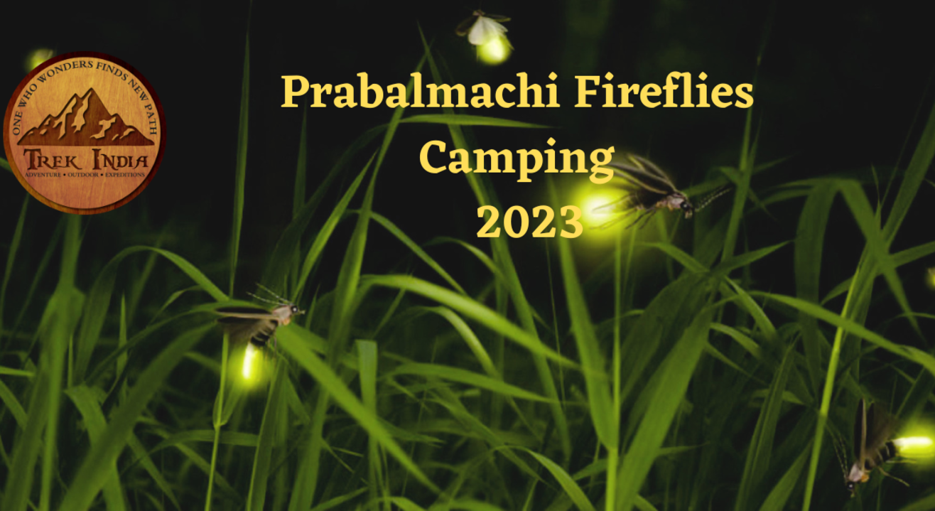 FireFlies Special Prabalmachi | Trek India