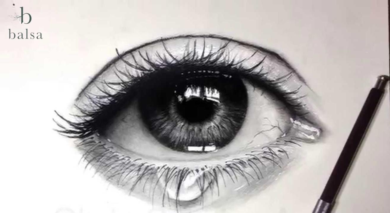 40 Free Charcoal Drawing  Drawing Images  Pixabay