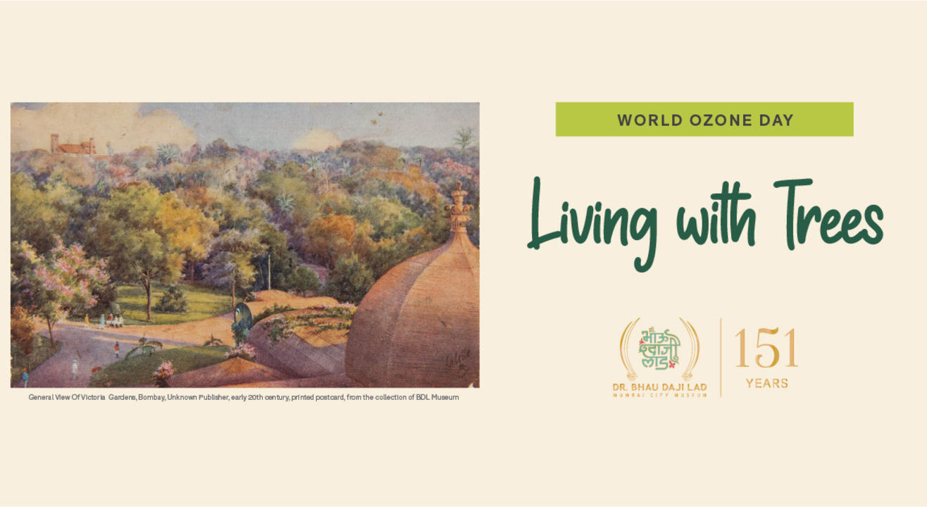 Living with Trees | Tree walk with Katie Bagli