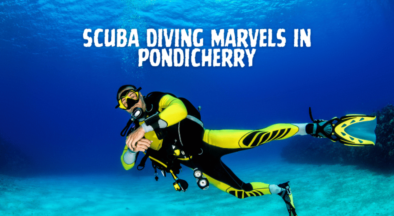 Scuba Diving In Pondicherry