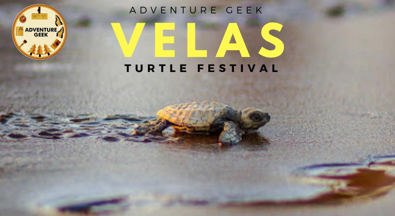 Velas Turtle Festival 2024 From Mumbai by Ac Bus