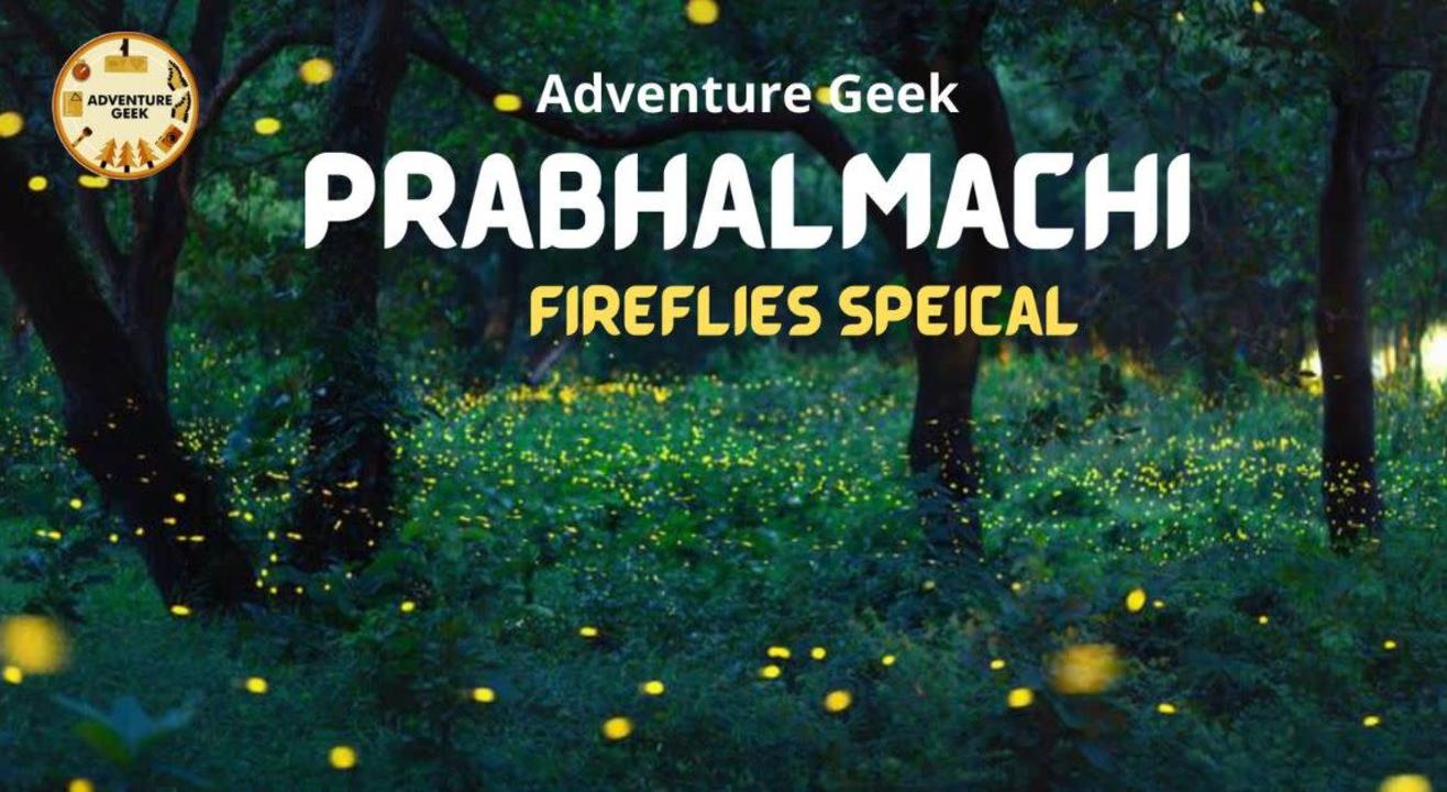 Prabalmachi Fireflies Night Trek and Camping 2024 | Adventure Geek