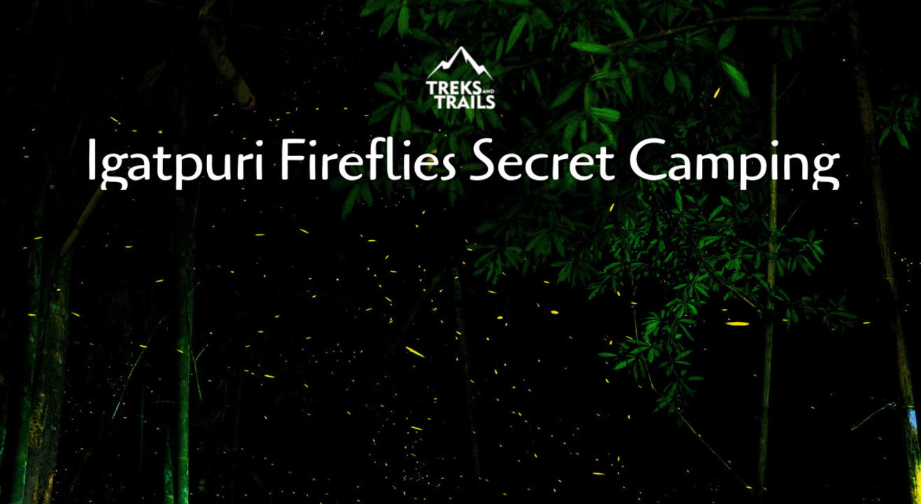 Fireflies Igatpuri Secret Camping  - Treks and Trails 